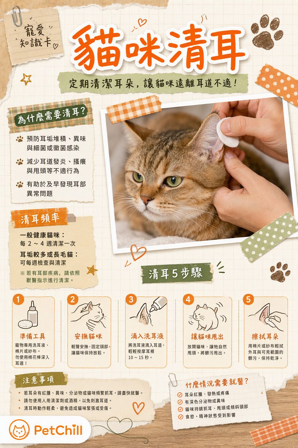 章節主題