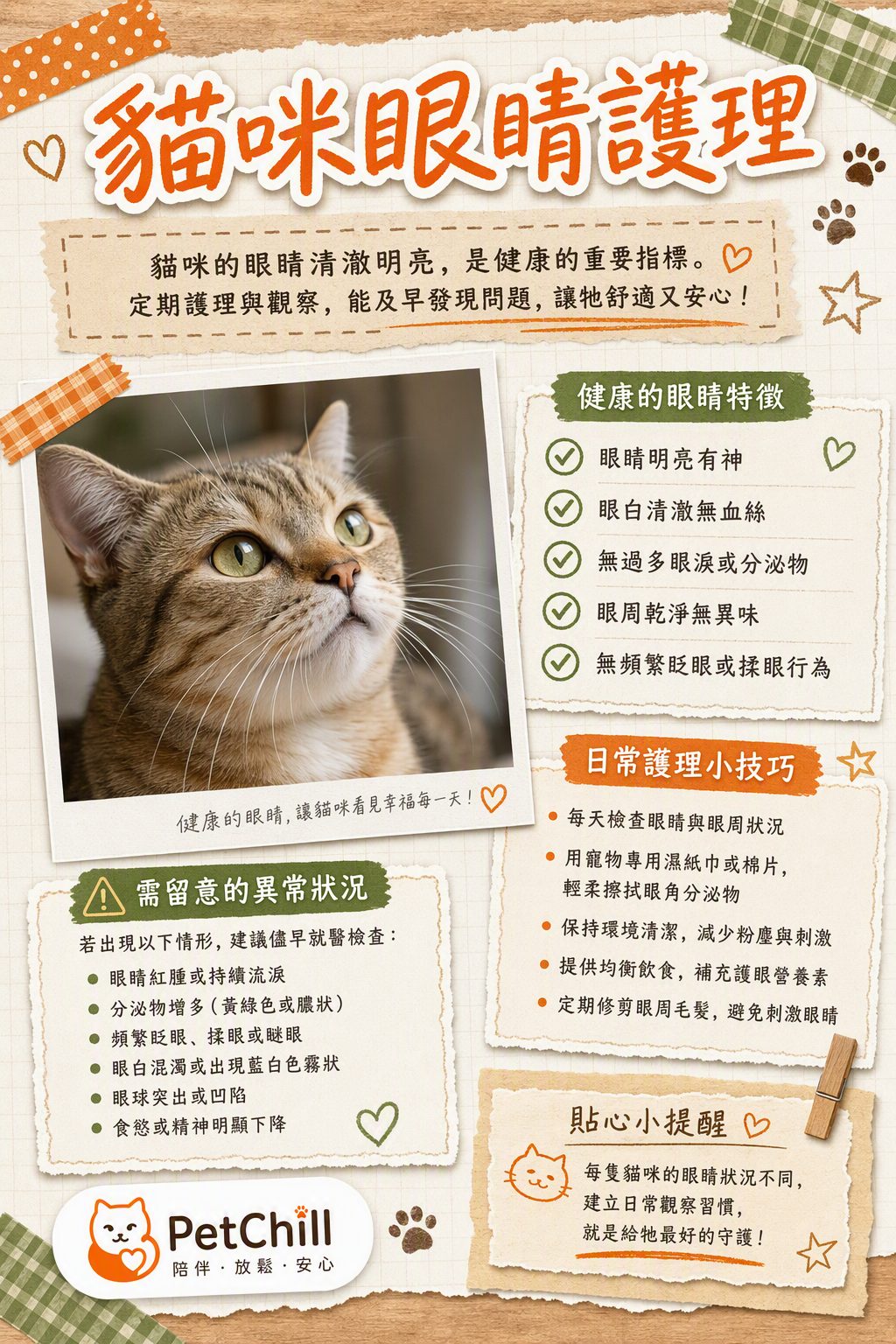 章節主題