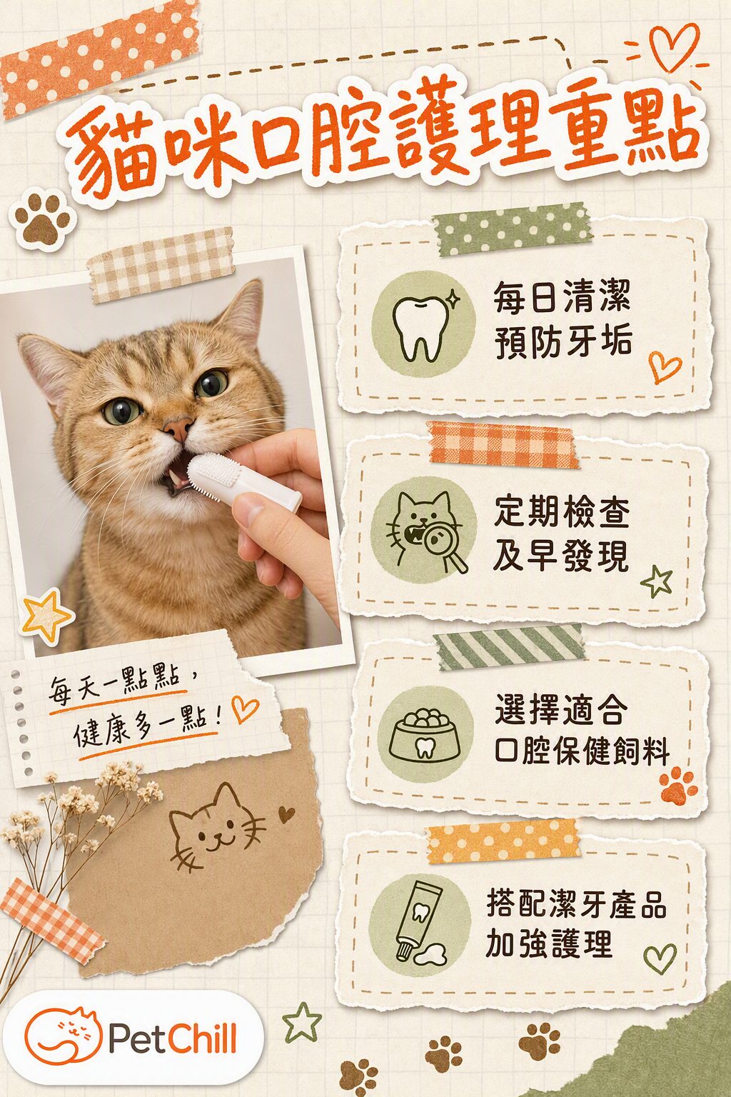 章節內容