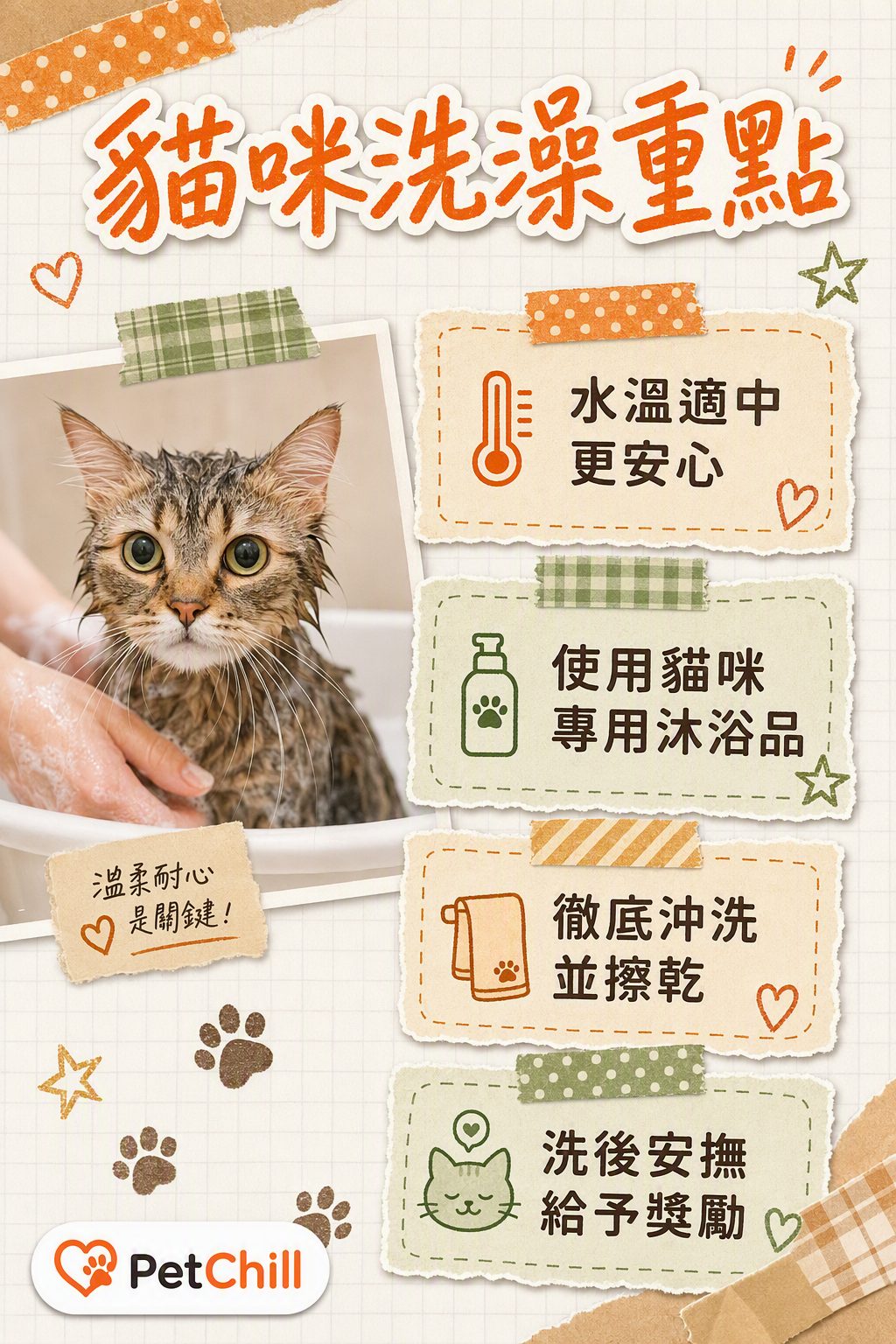 章節內容