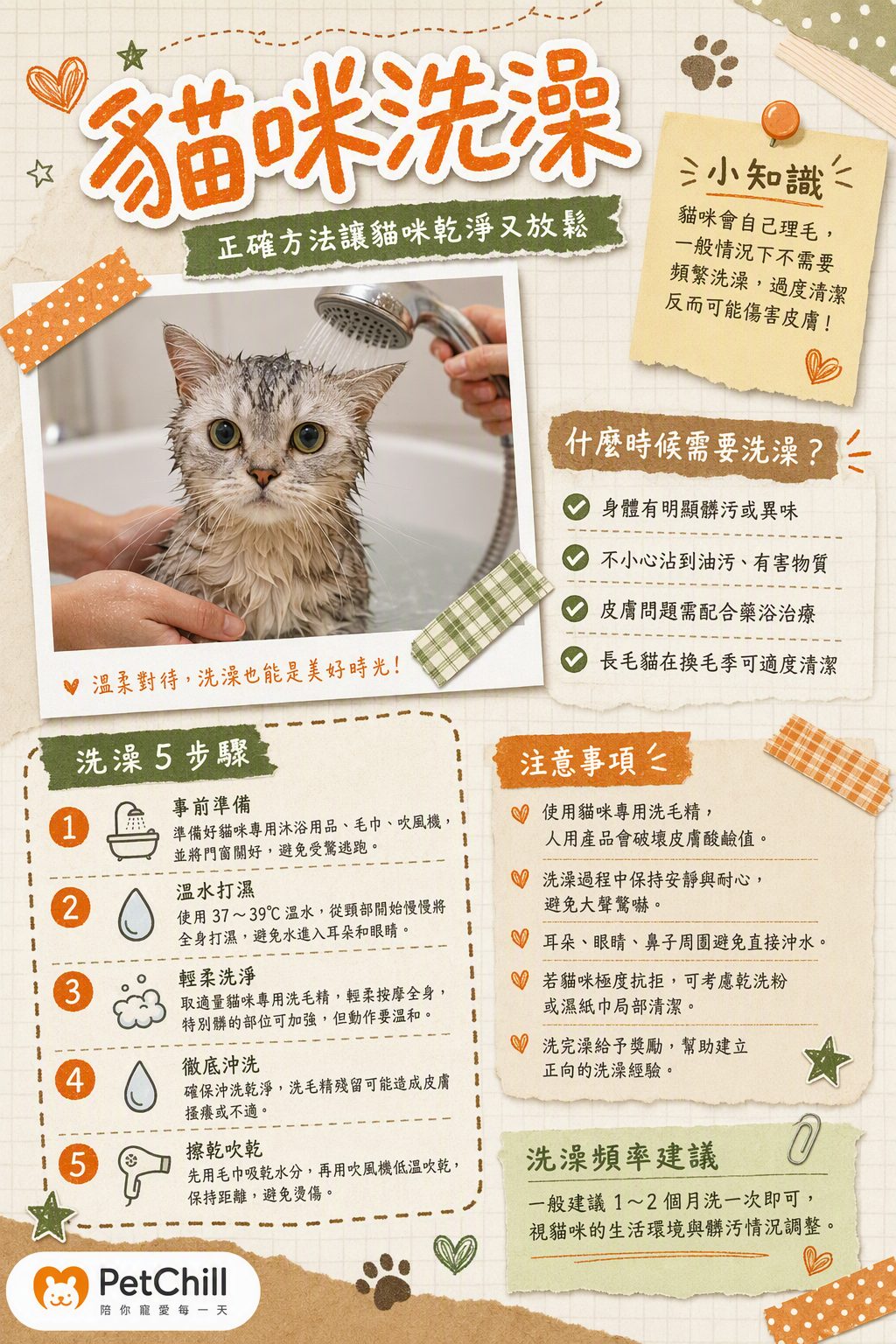 章節主題