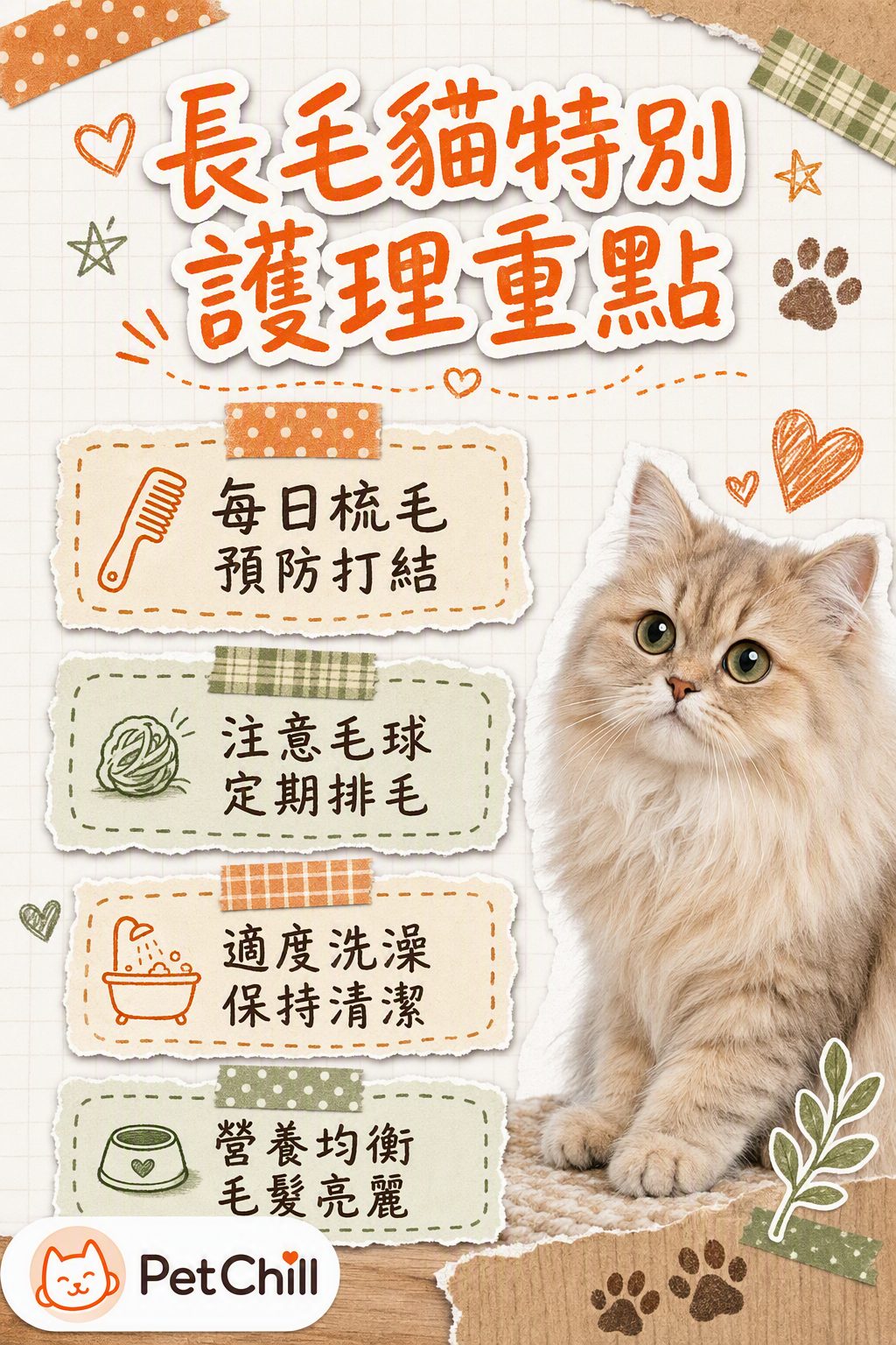 章節內容