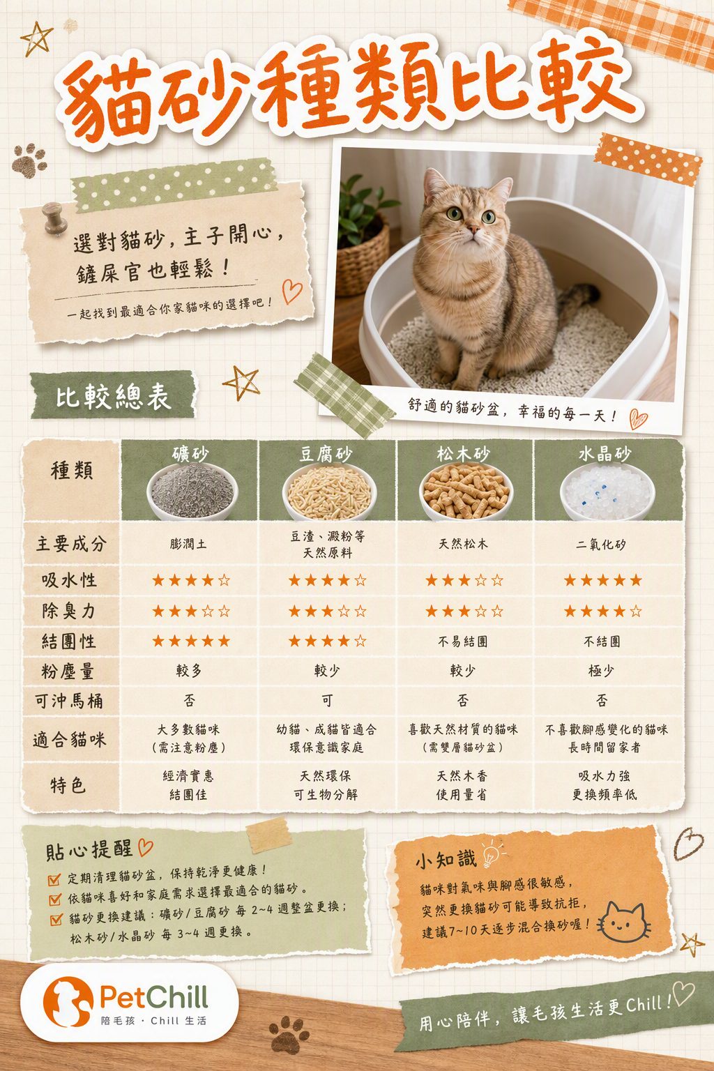 章節主題