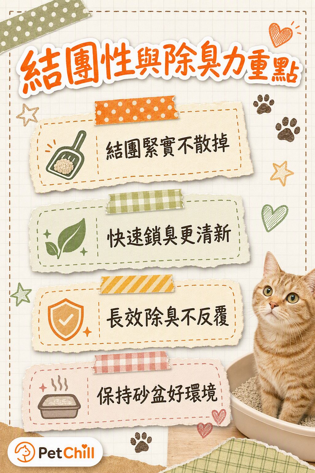 章節內容