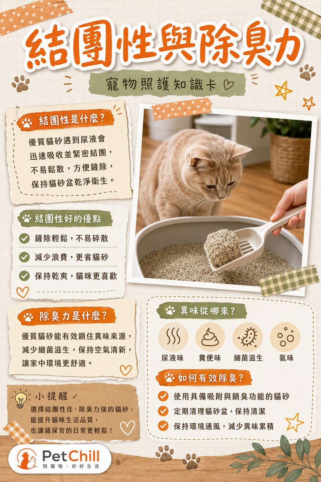章節主題