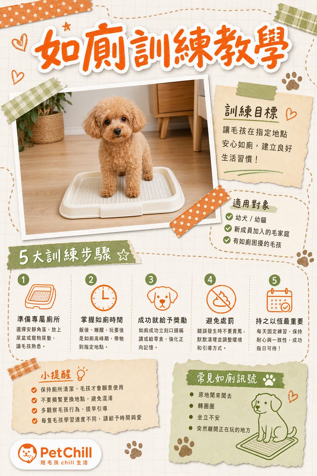 章節主題