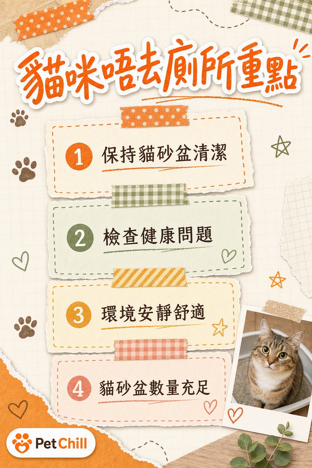 章節內容