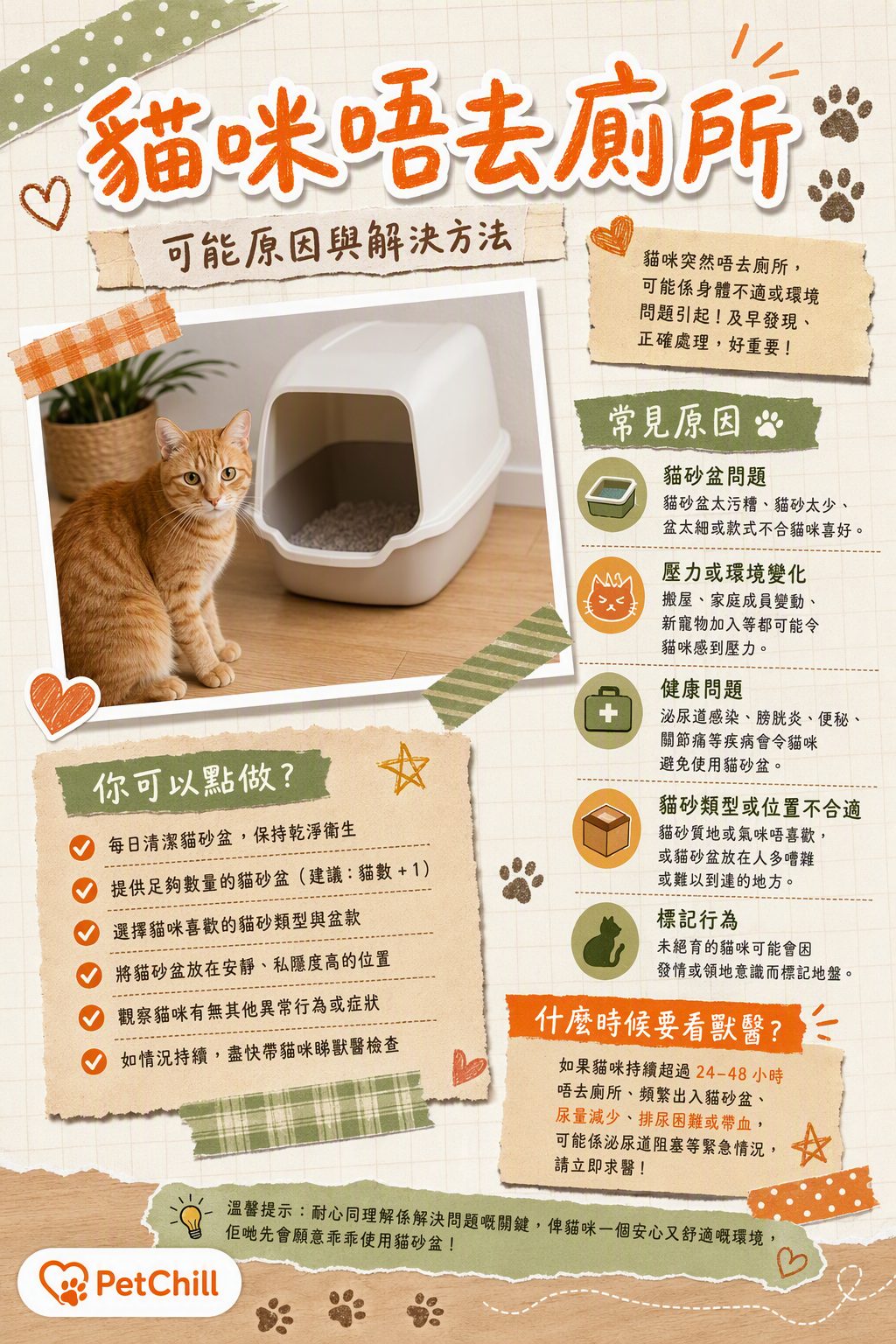 章節主題