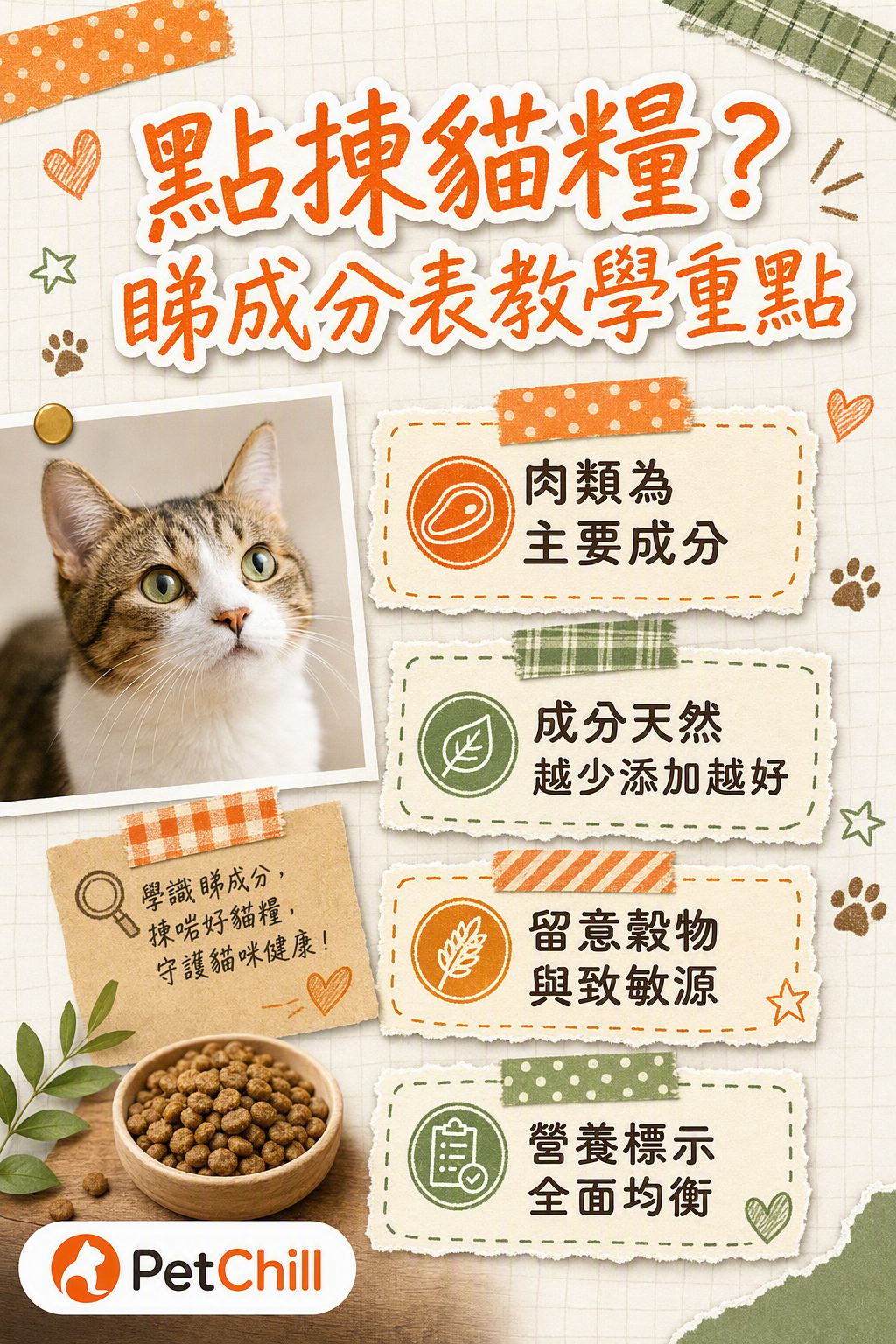 章節內容