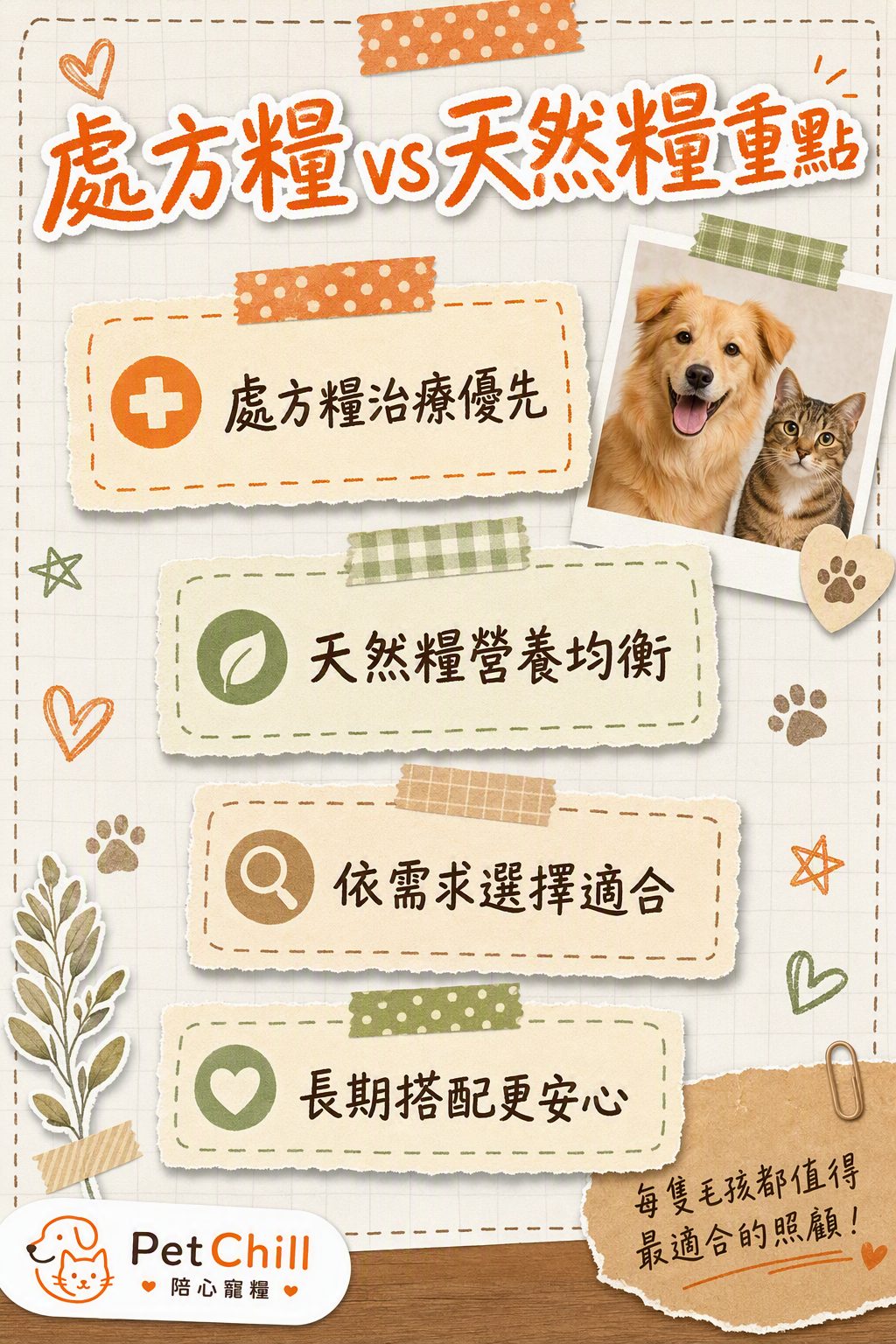 章節內容