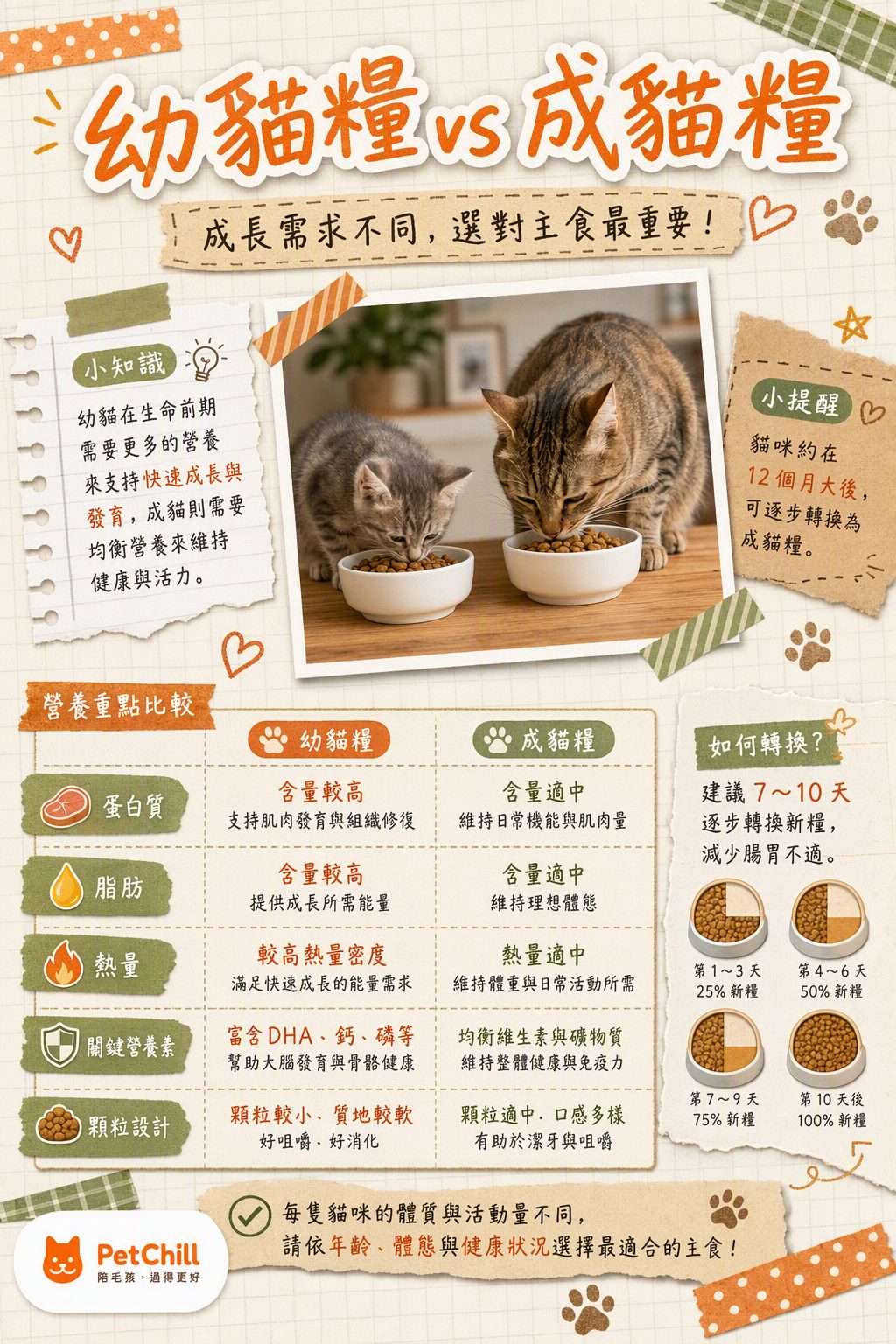 章節主題