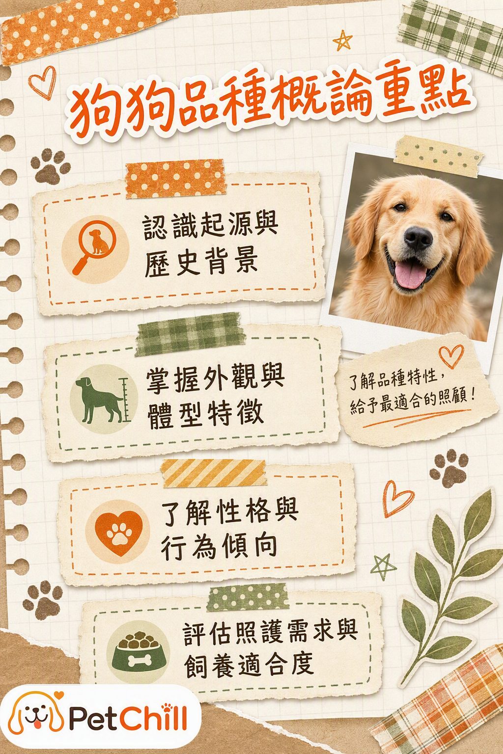 章節內容