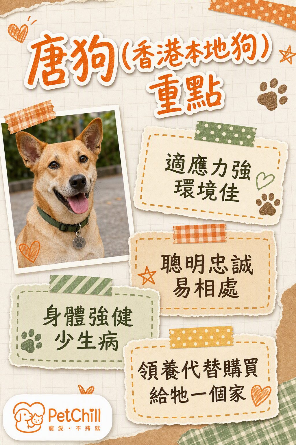 章節內容