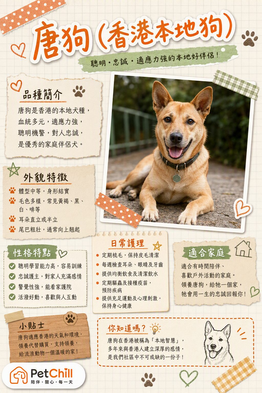 章節主題
