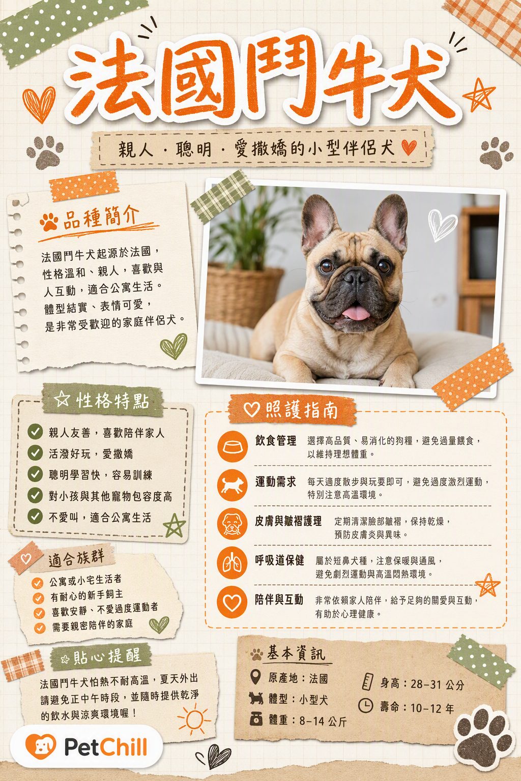 章節主題