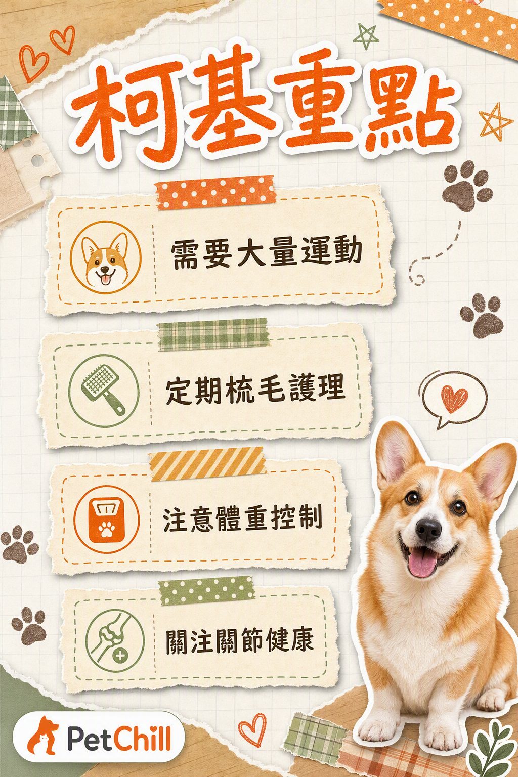 章節內容