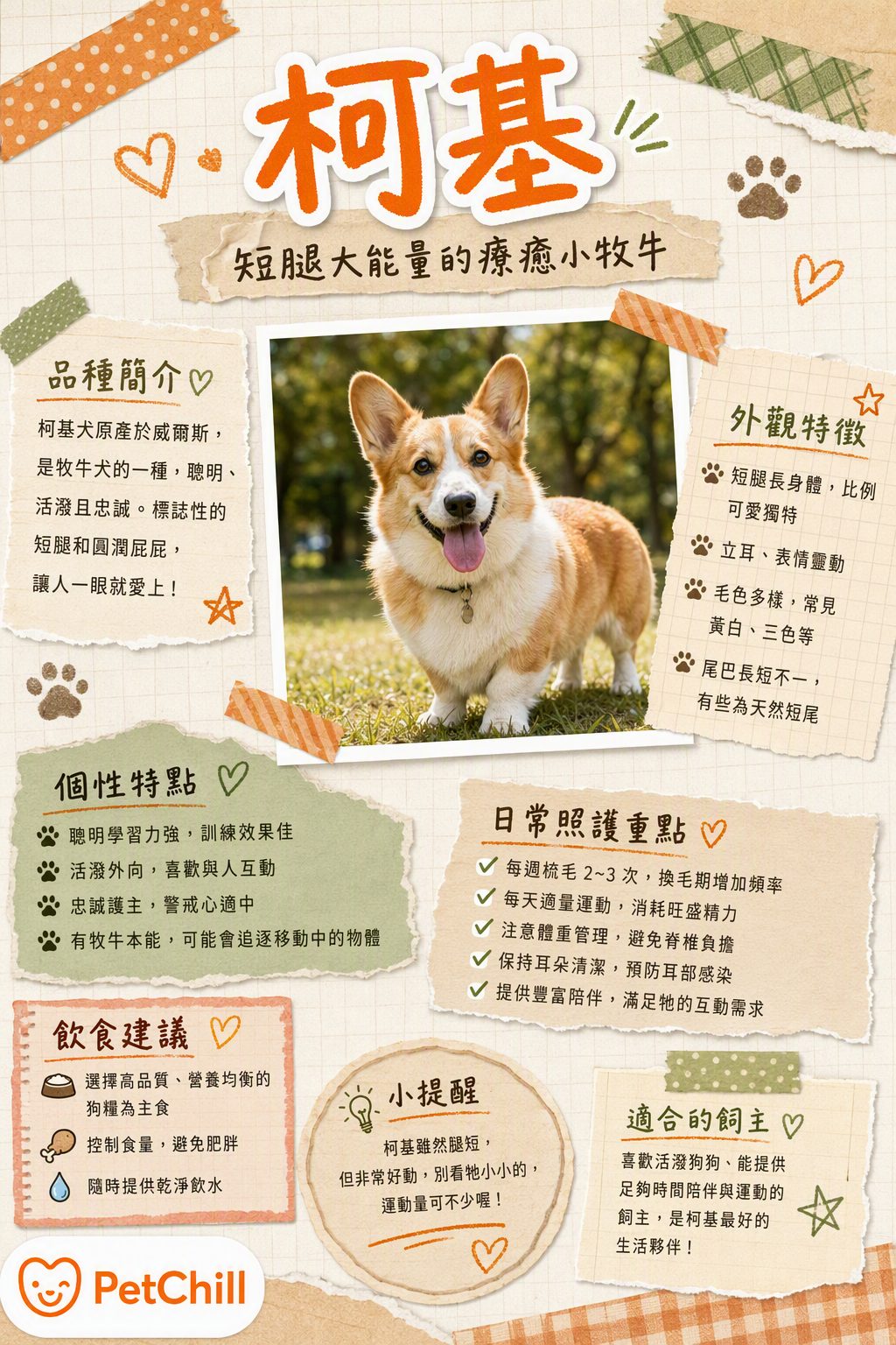 章節主題