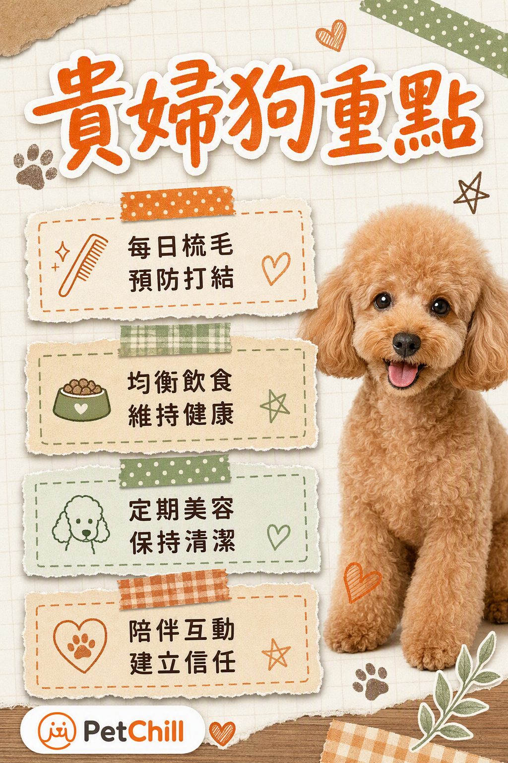章節內容