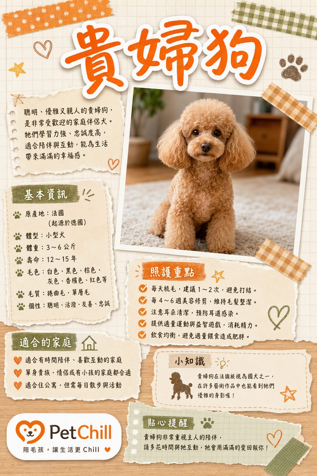 章節主題