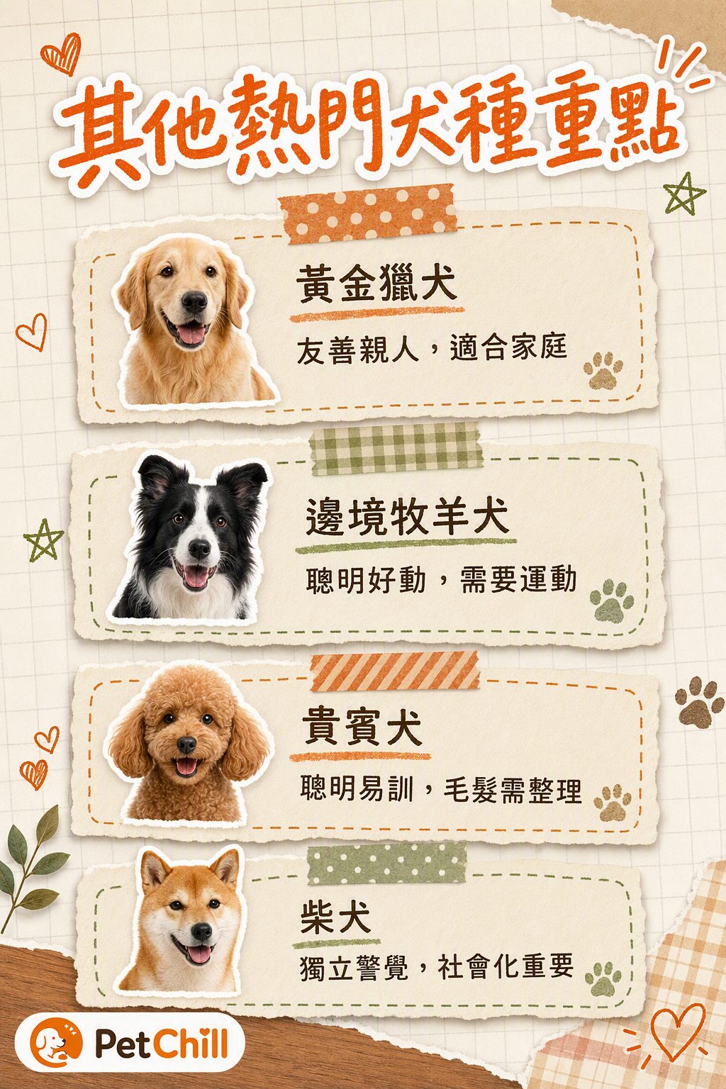 章節內容