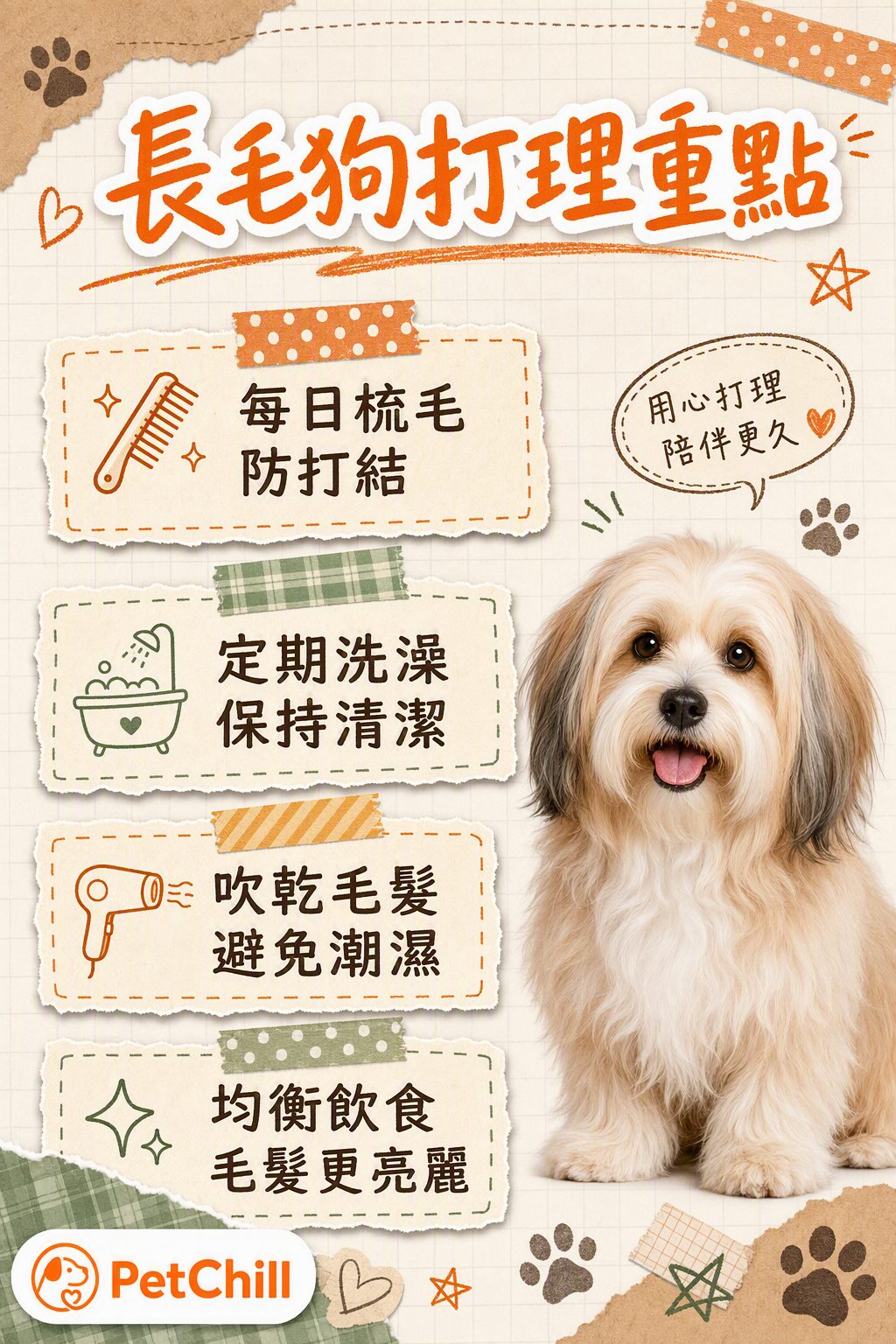 章節內容