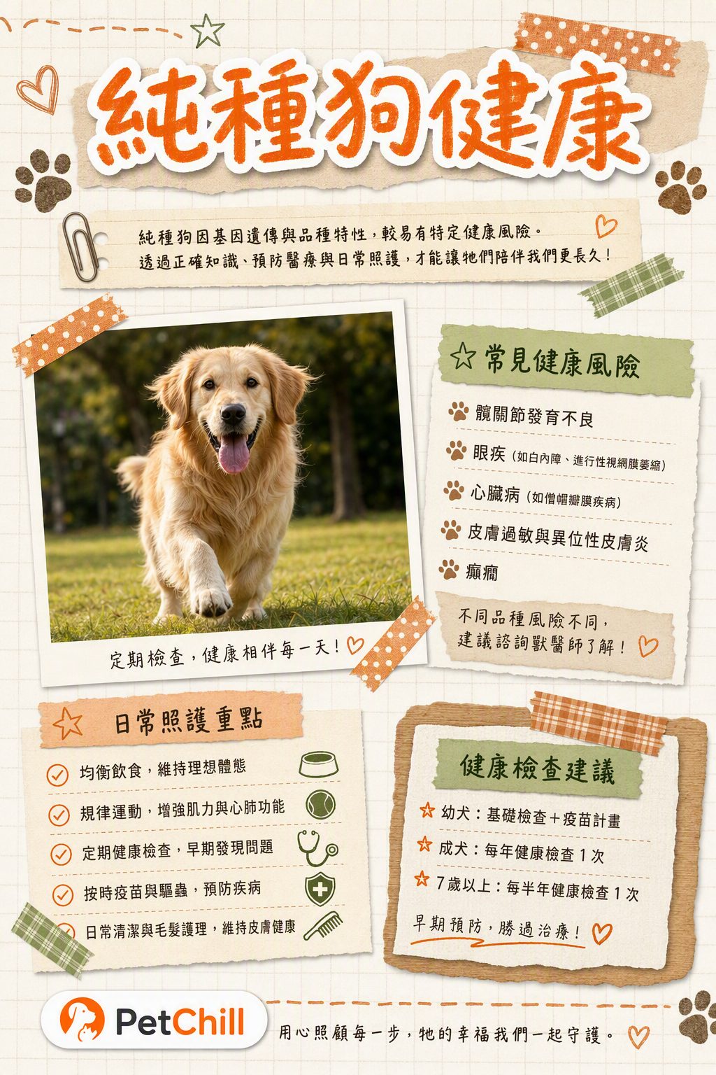 章節主題