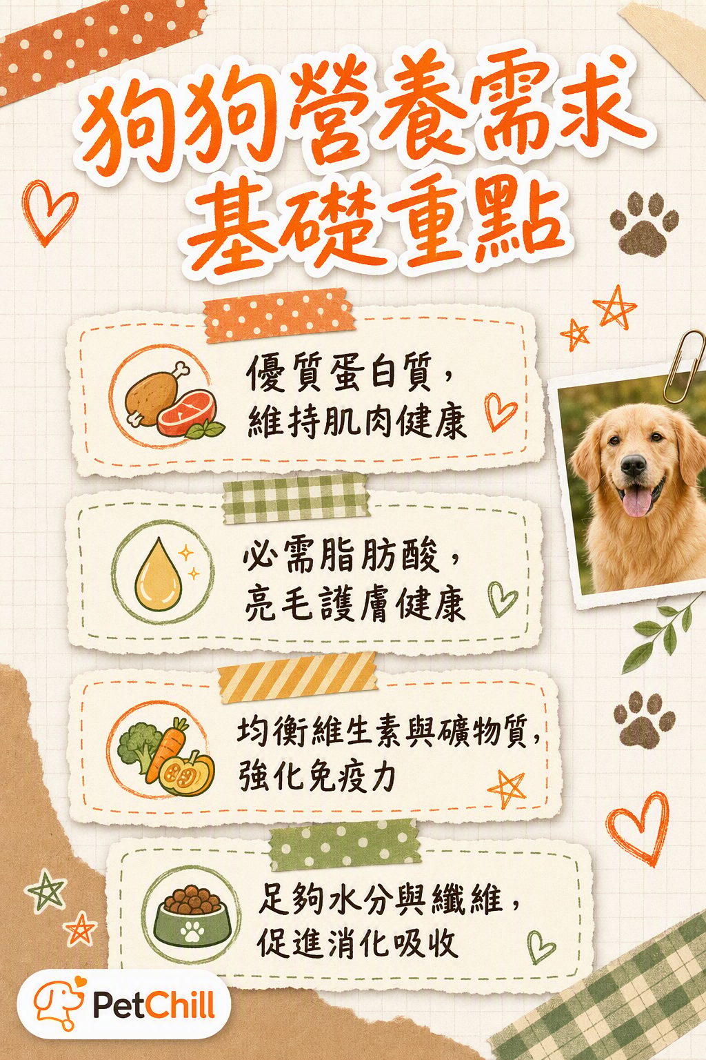 章節內容