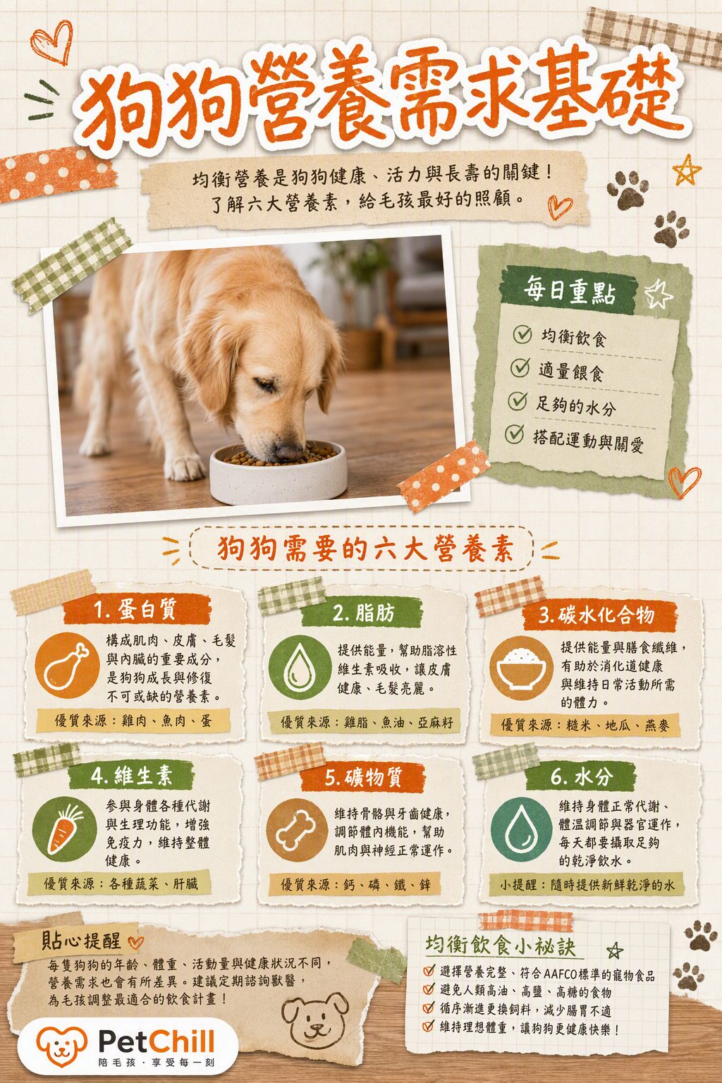 章節主題
