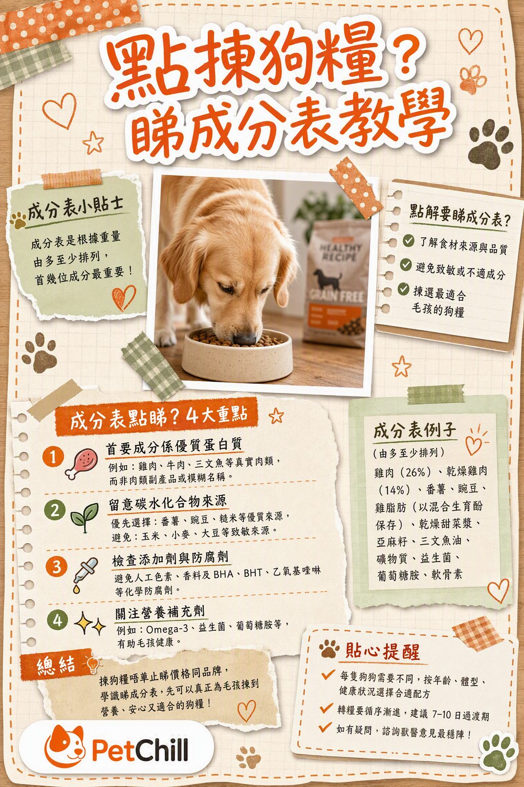 章節主題