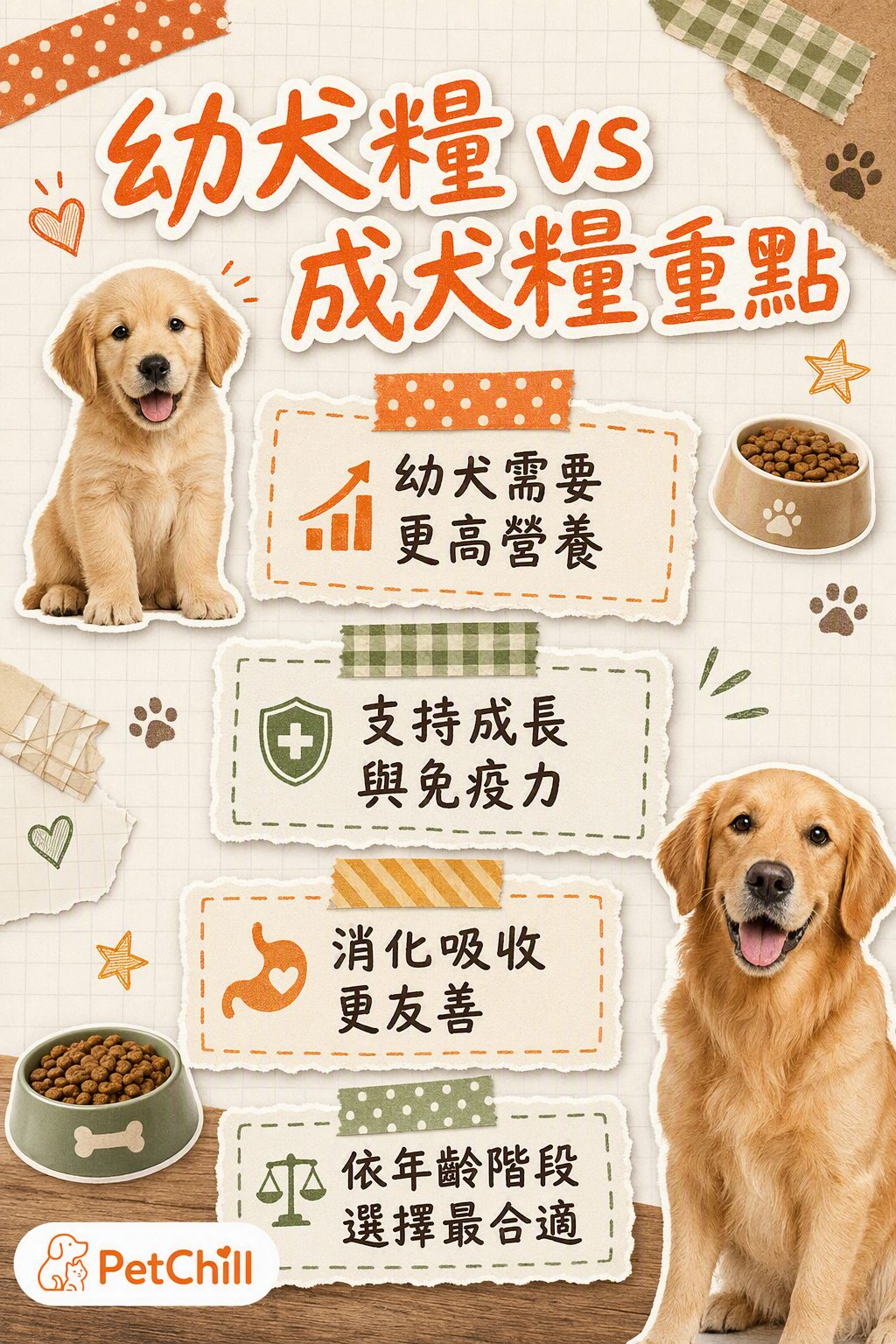 章節內容