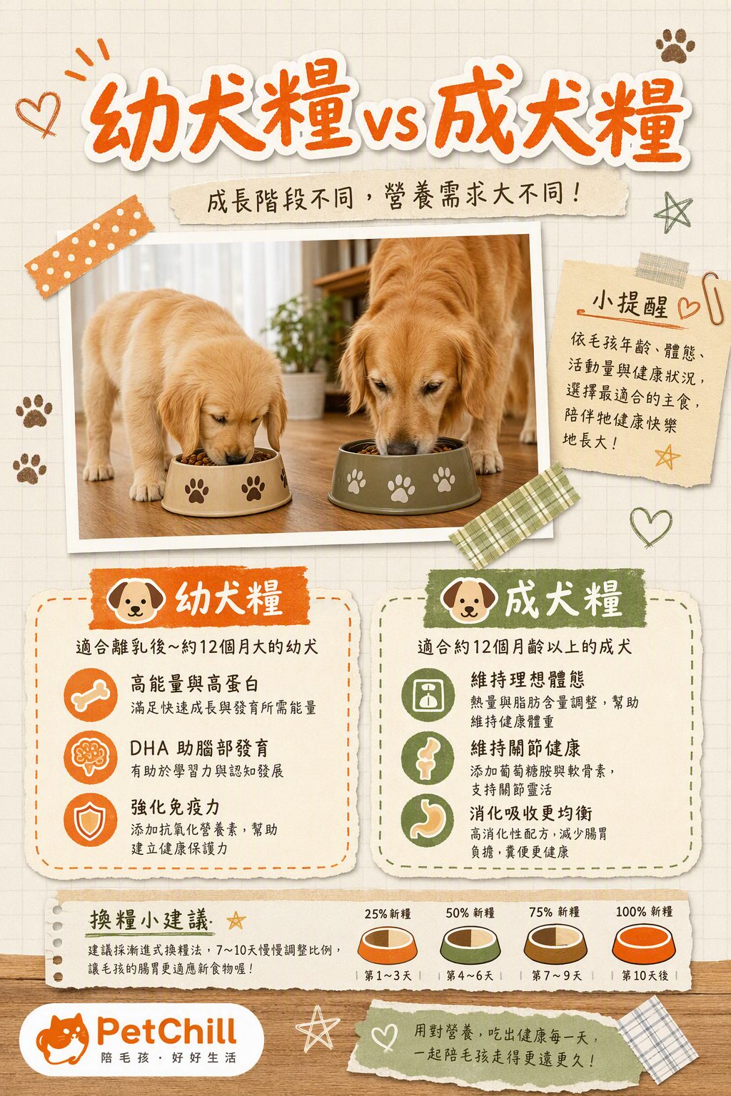 章節主題