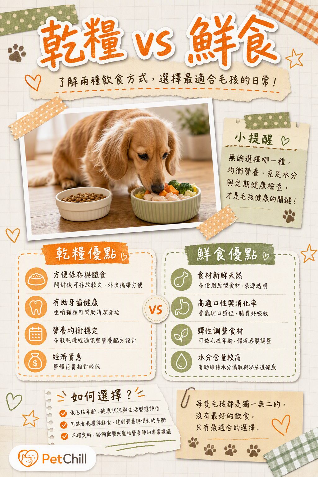 章節主題
