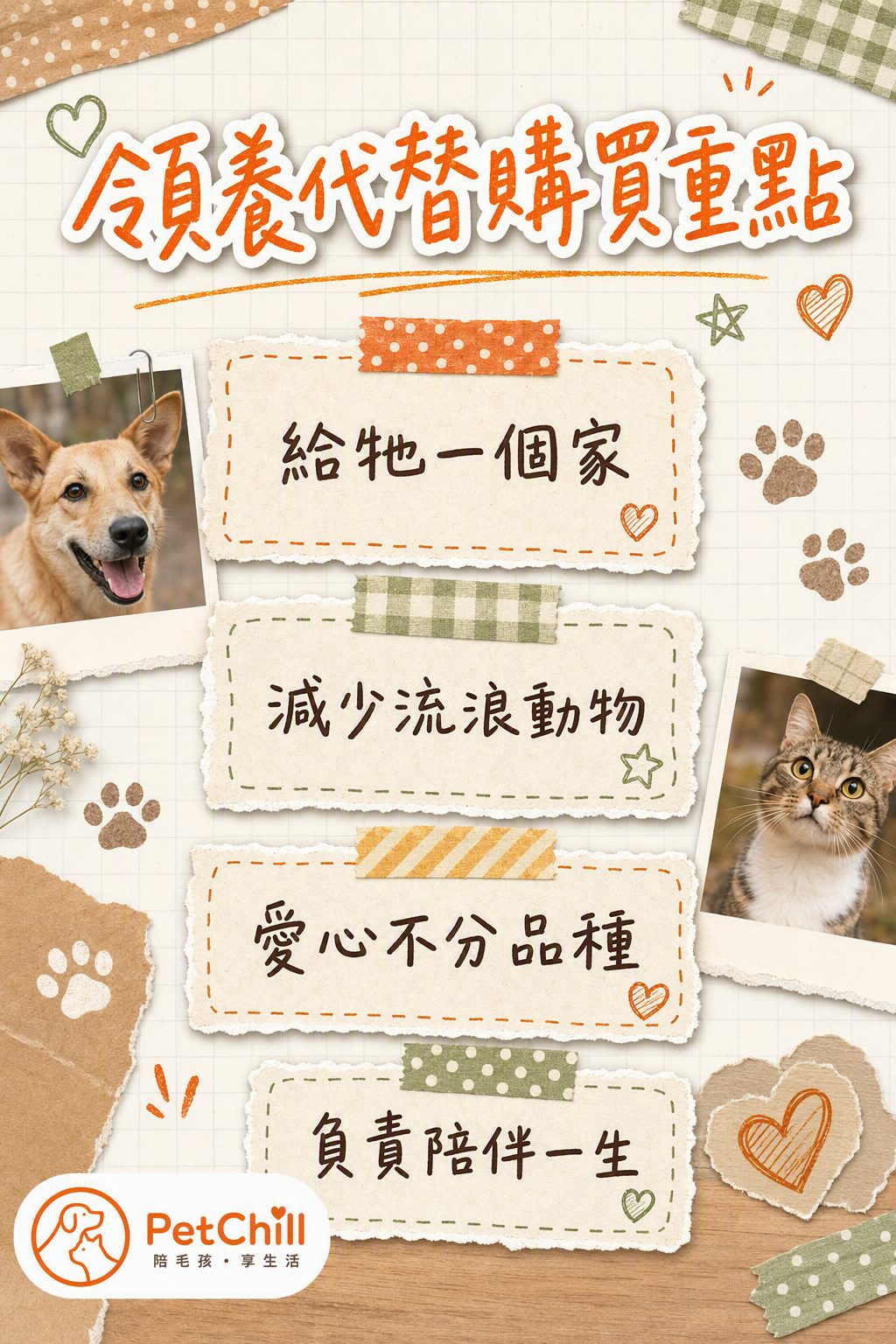 章節內容
