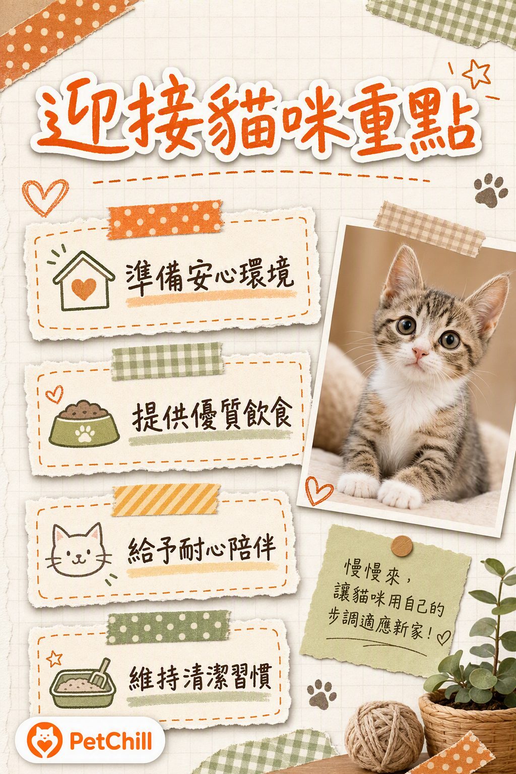 章節內容