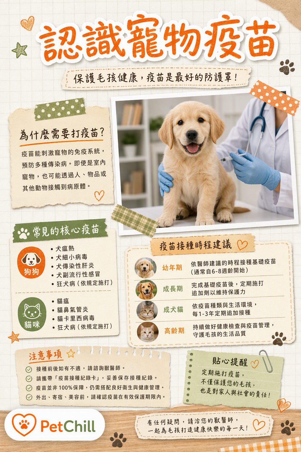 章節主題