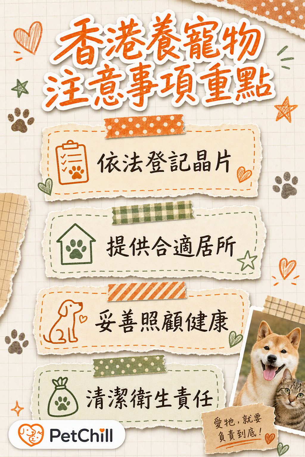 章節內容