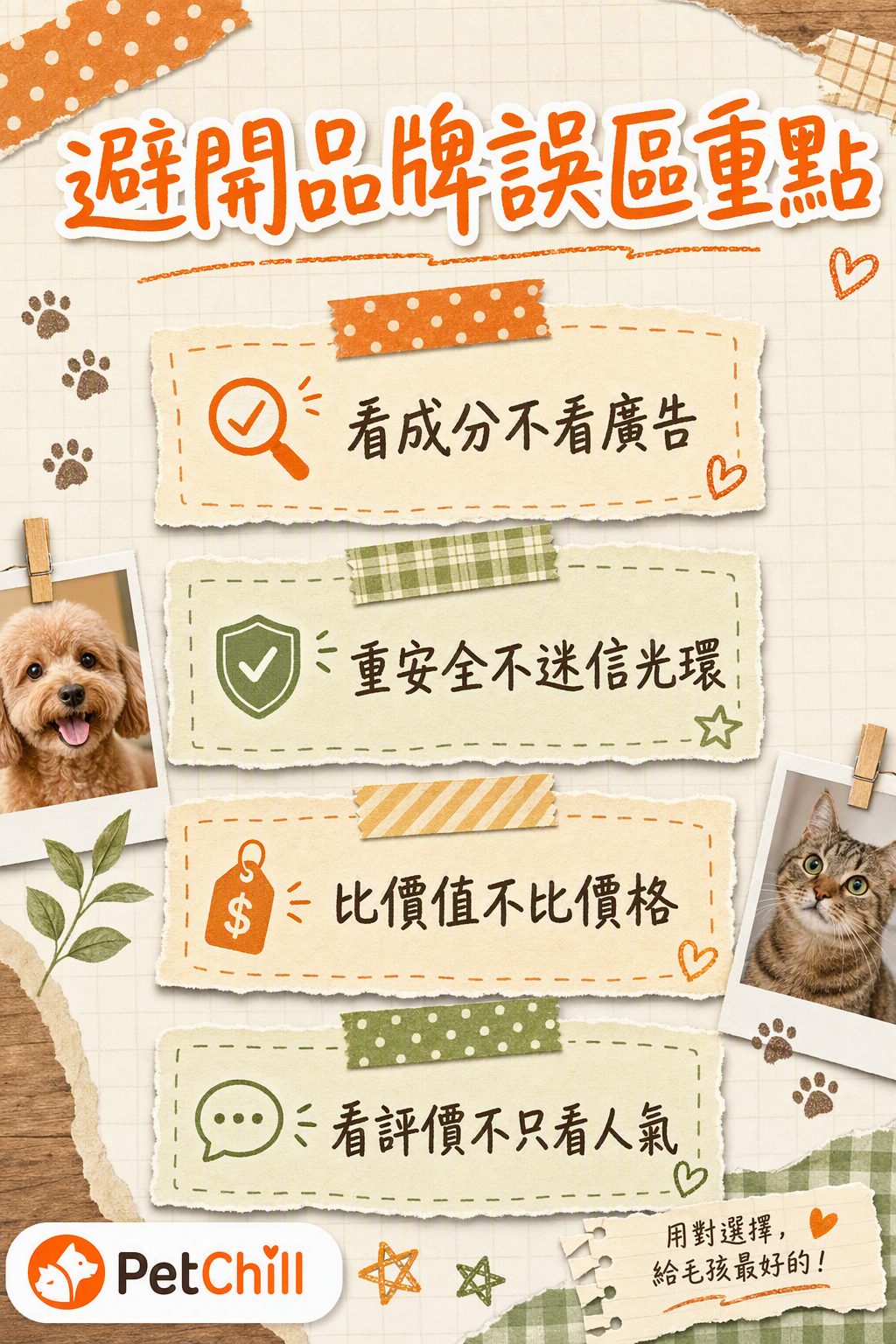 章節內容