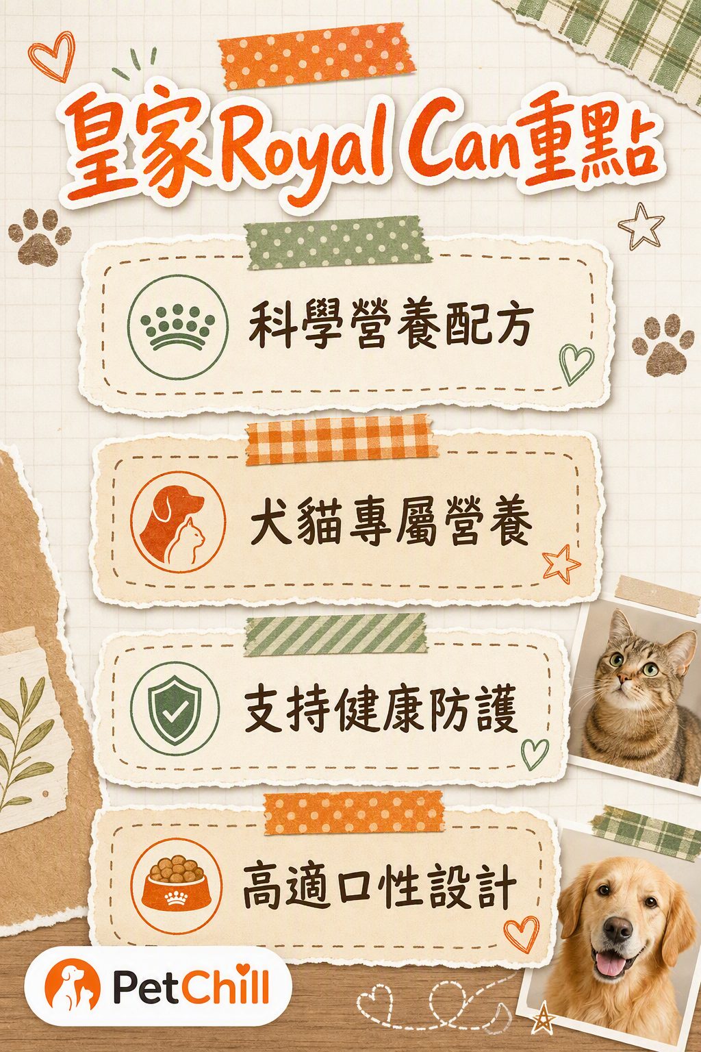 章節內容