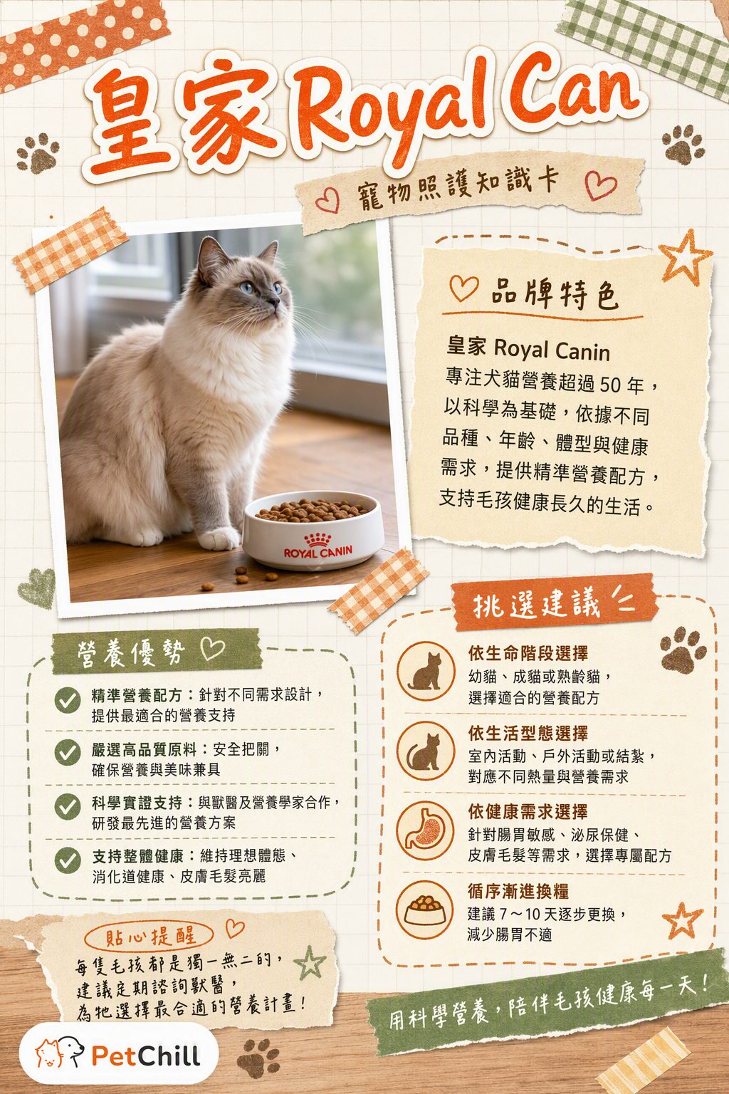 章節主題