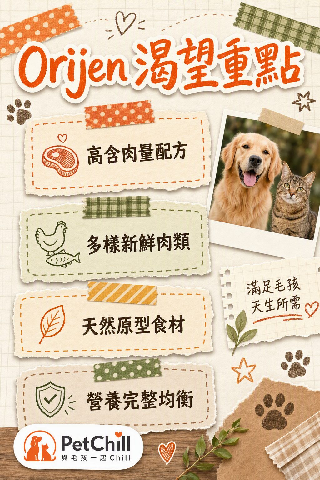 章節內容