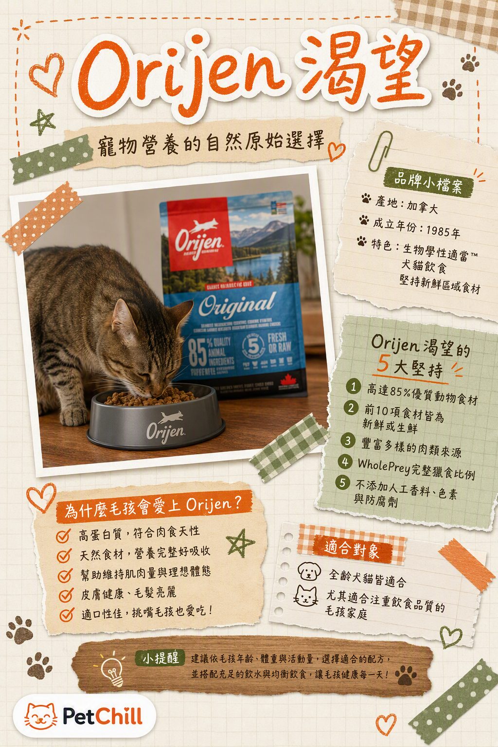章節主題