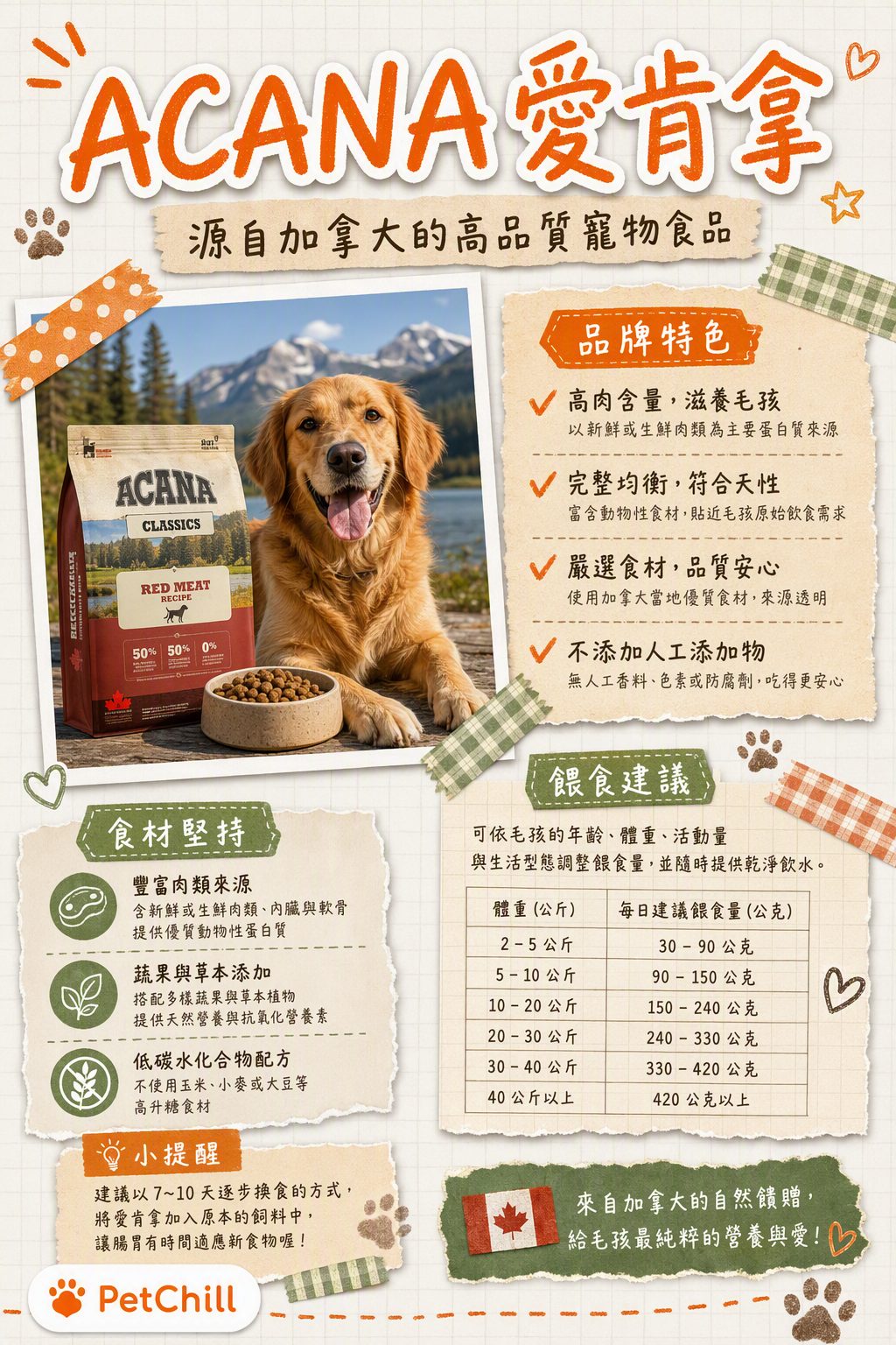章節主題