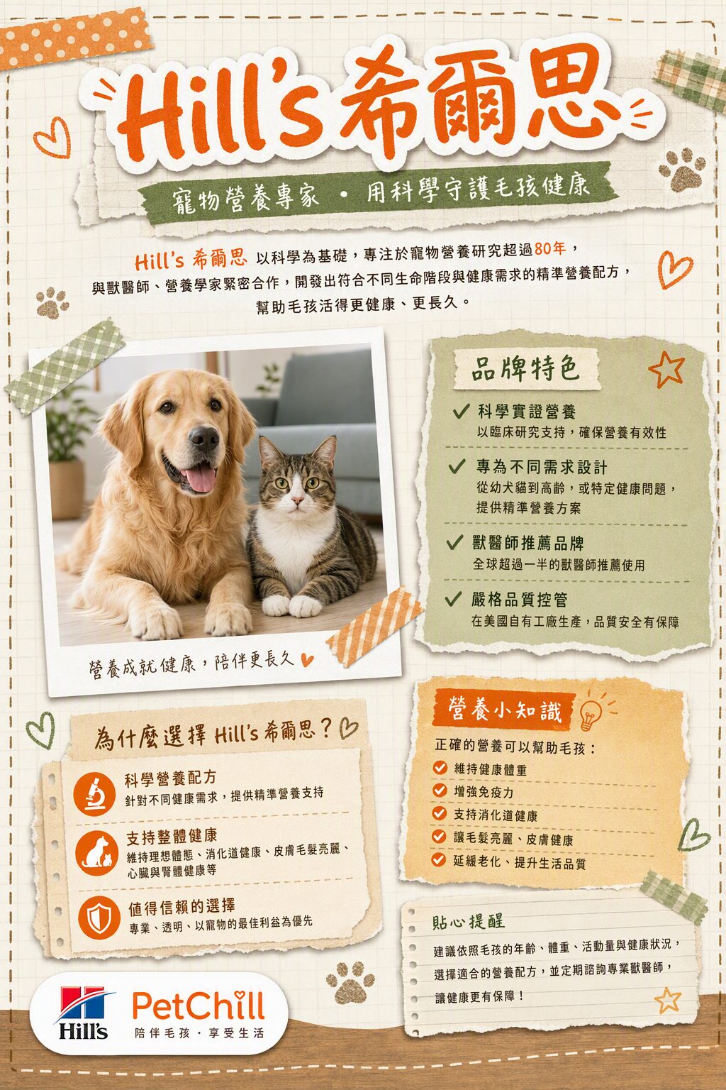 章節主題