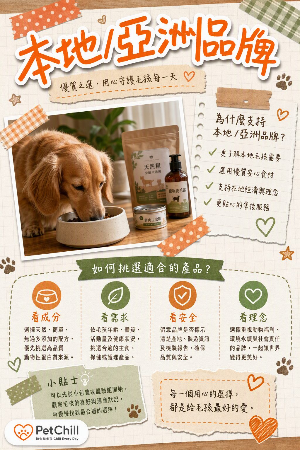 章節主題
