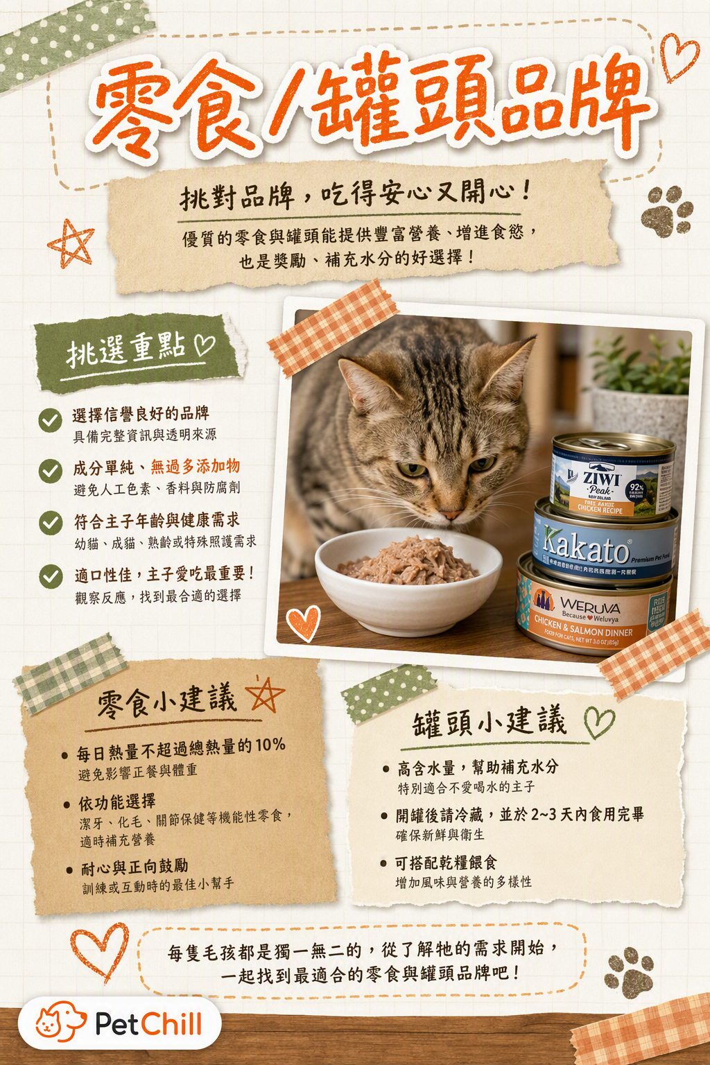 章節主題
