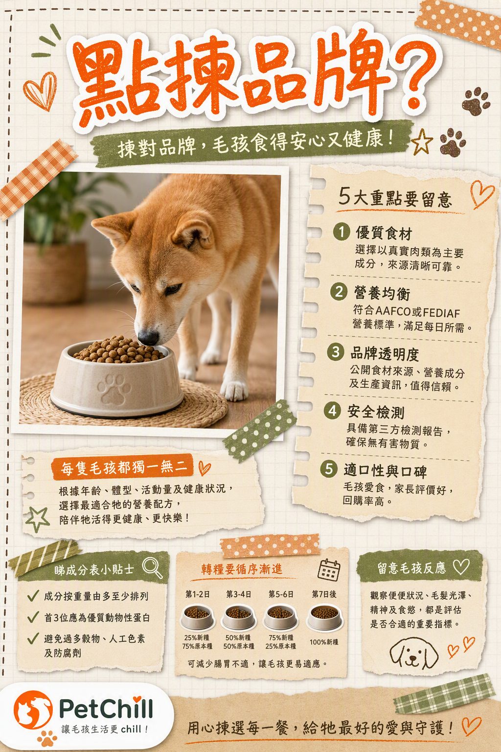 章節主題
