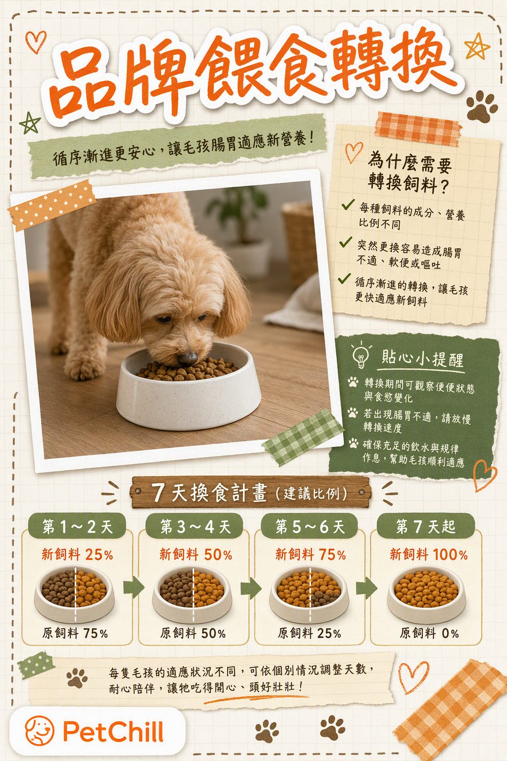 章節主題
