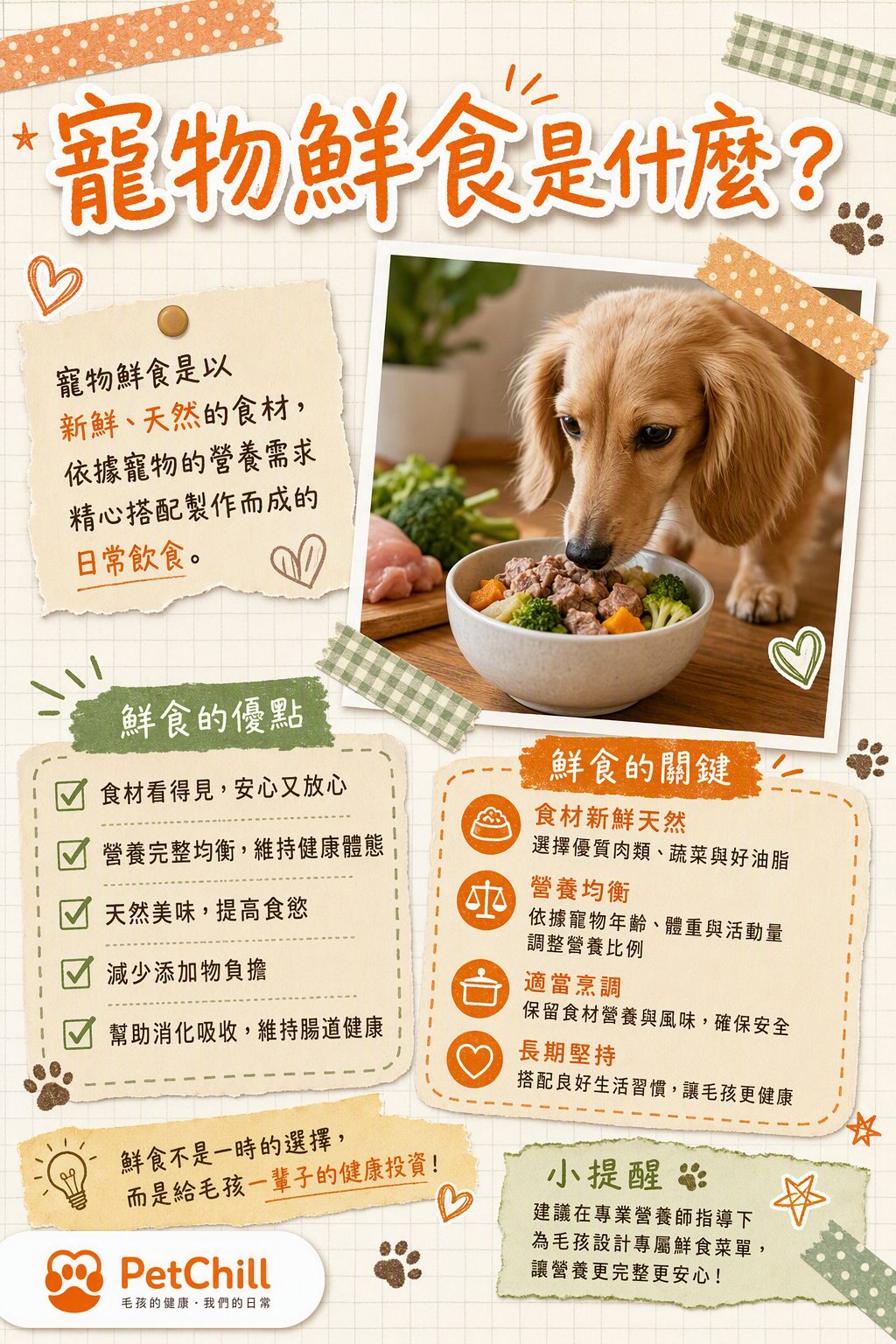 章節主題