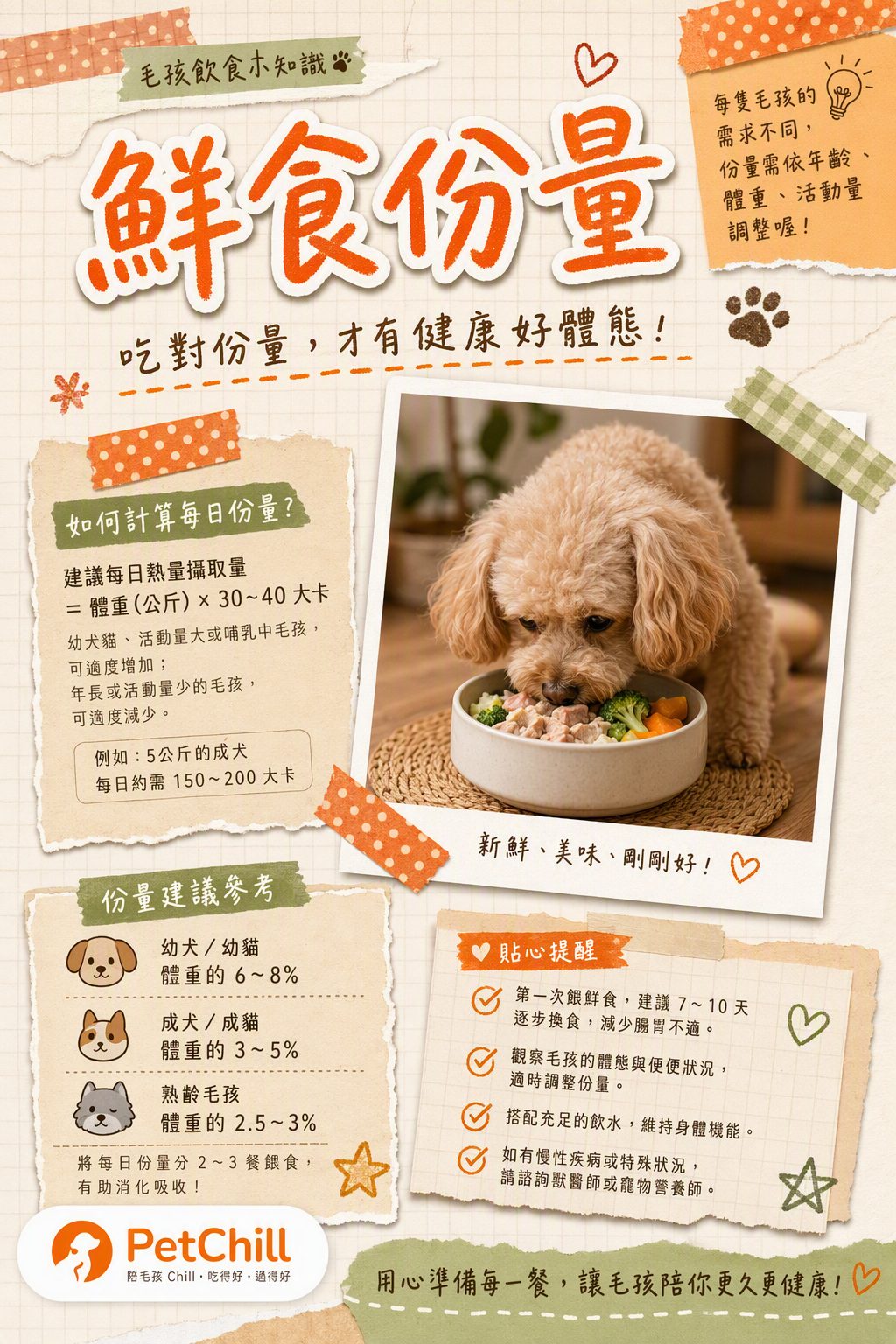 章節主題
