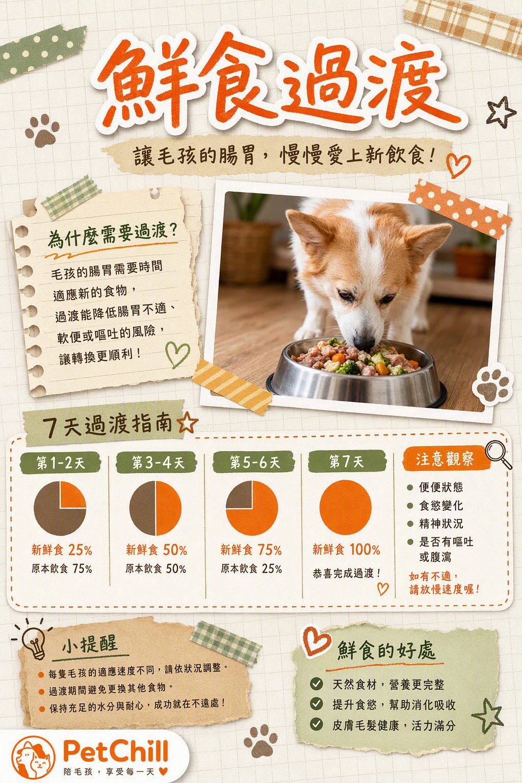 章節主題
